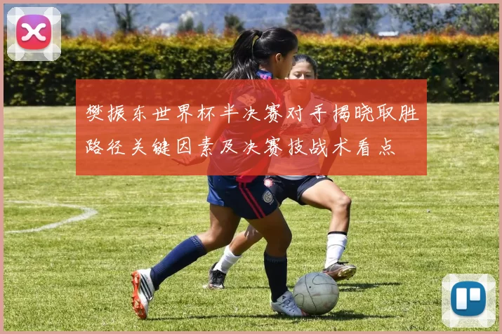 樊振东世界杯半决赛对手揭晓取胜路径关键因素及决赛技战术看点