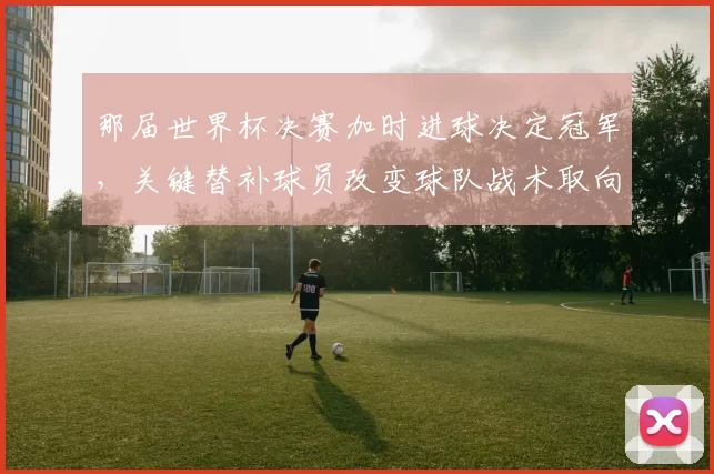 那届世界杯决赛加时进球决定冠军，关键替补球员改变球队战术取向