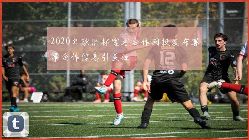 2020年欧洲杯官方合作网投发布赛事合作信息引关注