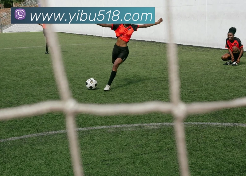 多媒体互动体验